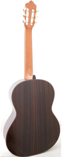 Unico-3.jpg
